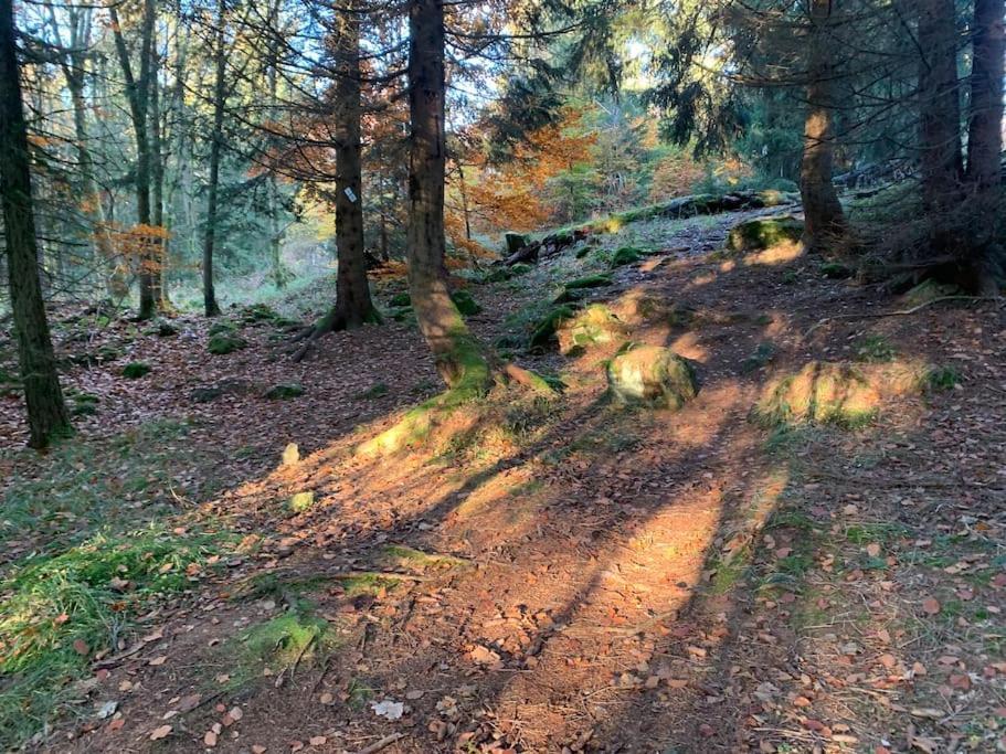 Jermerstein-Haeuschen Braunlage Luaran gambar