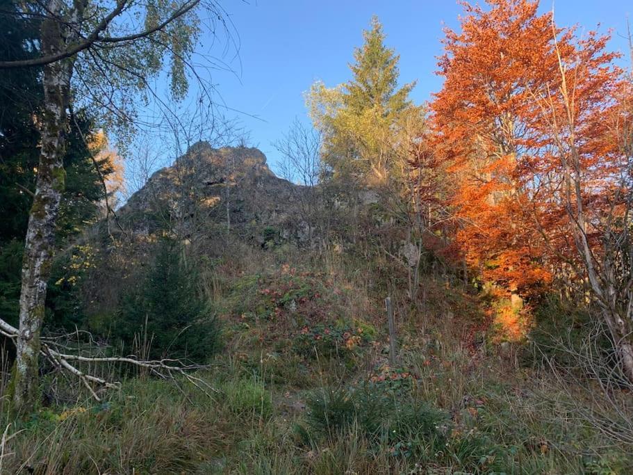 Jermerstein-Haeuschen Braunlage Luaran gambar