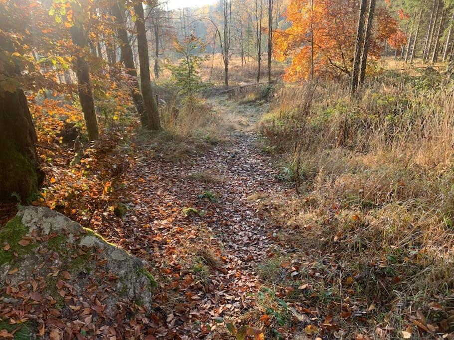Jermerstein-Haeuschen Braunlage Luaran gambar